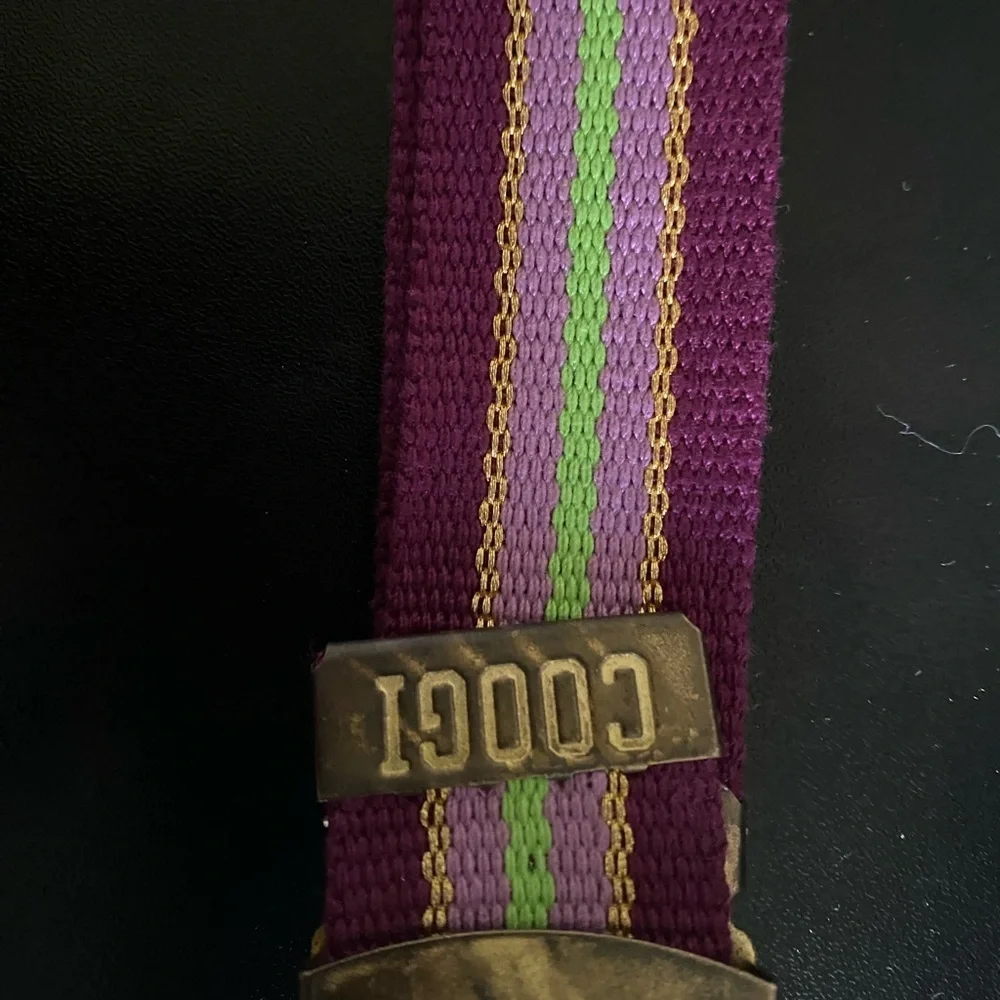 Vintage COOGI L Retro Purple Gold Metallic Cotton Adjustable Striped Belt 31”L